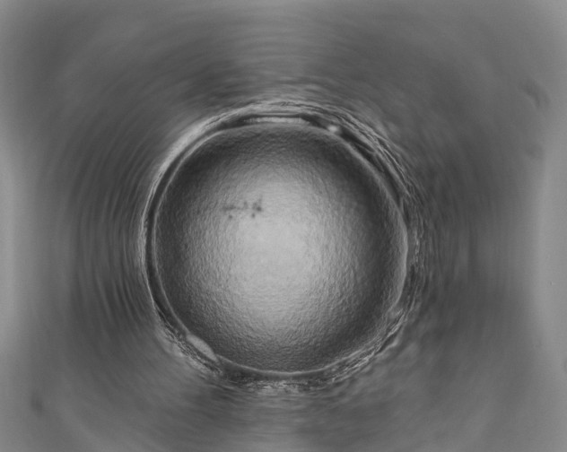 X0000111170100200907081223