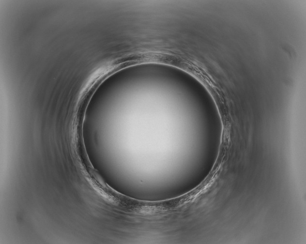 X0000111170101200907081223