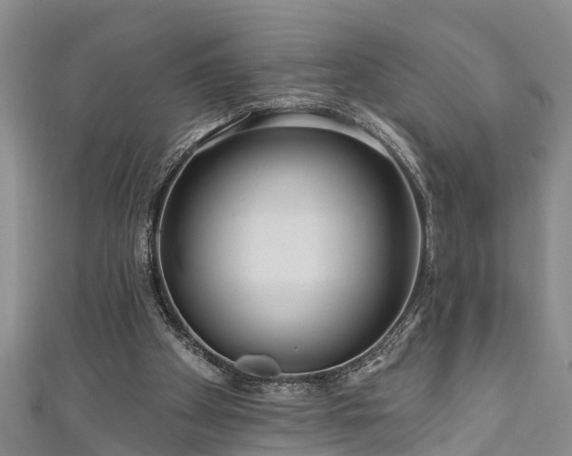 X0000111170105200907081223