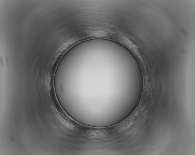 X0000111170106200907081223