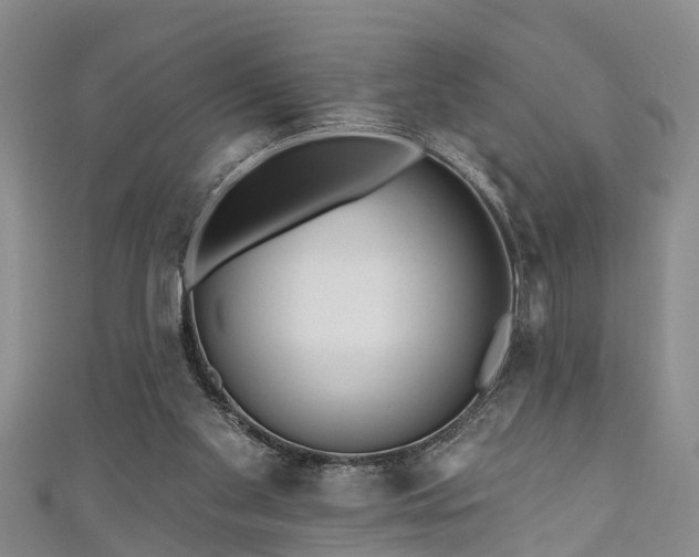 X0000111170109200907081223