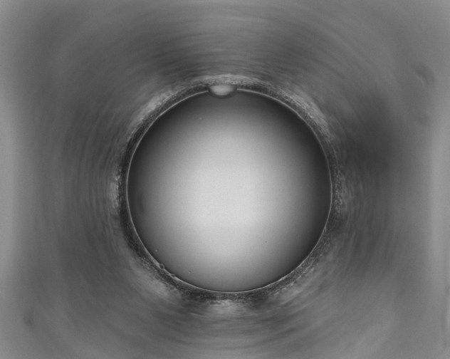 X0000111170111200907081223