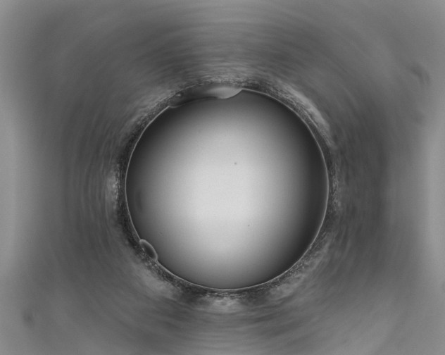 X0000111170113200907081223