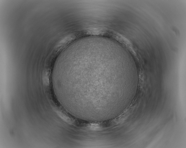 X0000111170114200907081223