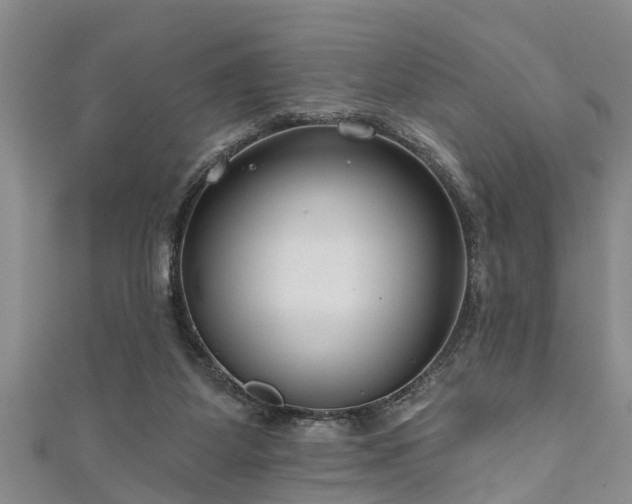 X0000111170115200907081223