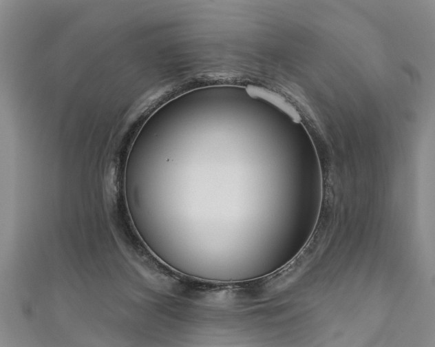 X0000111170116200907081223