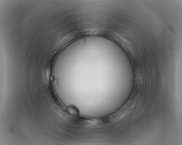 X0000111170118200907081223