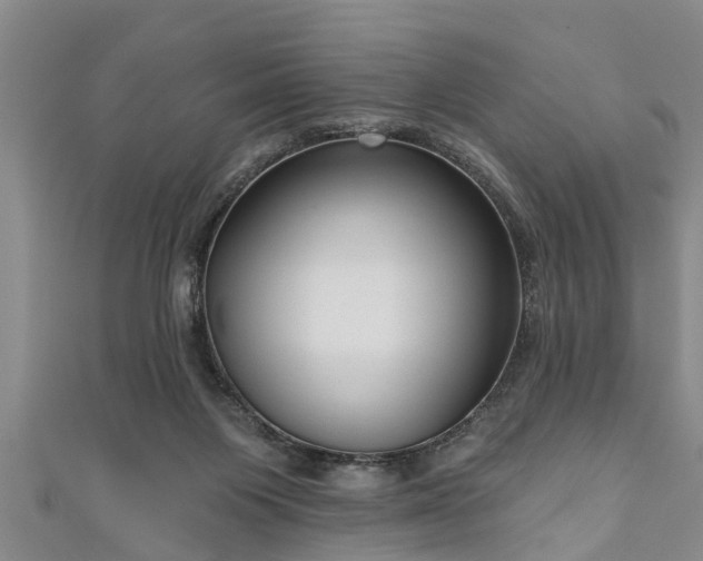 X0000111170119200907081223