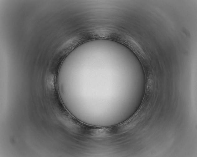 X0000111170122200907081223