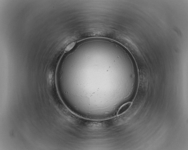 X0000111170123200907081223