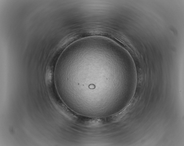 X0000111170124200907081223