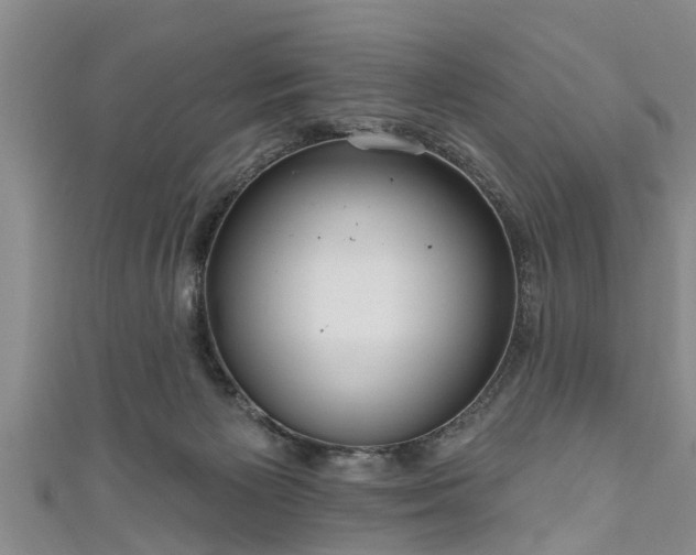 X0000111170125200907081223