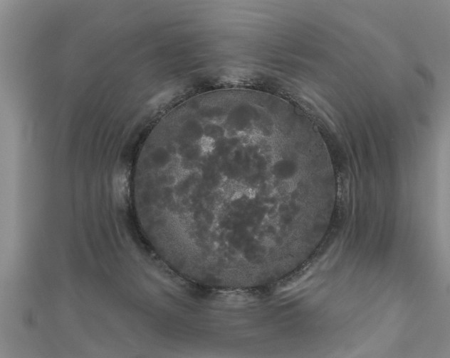 X0000111170127200907081223