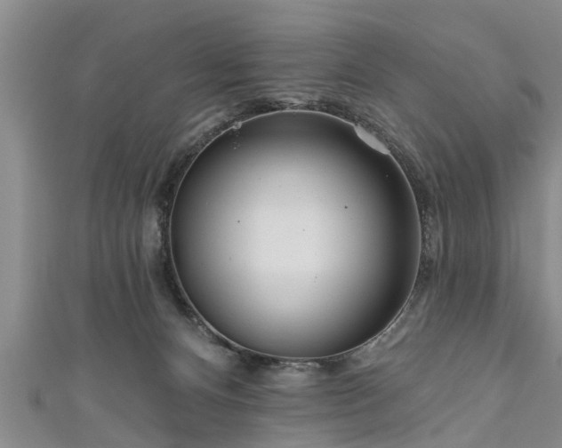 X0000111170128200907081223