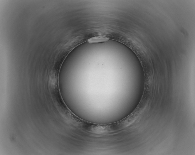 X0000111170129200907081223