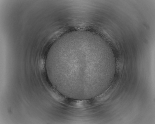 X0000111170130200907081223