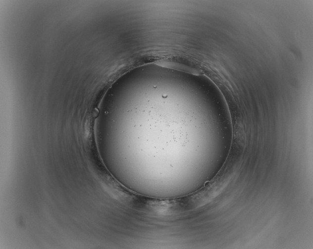 X0000111170131200907081223