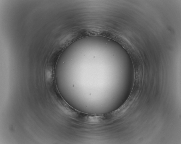 X0000111170134200907081222