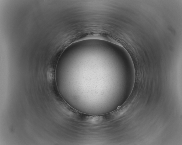 X0000111170135200907081222