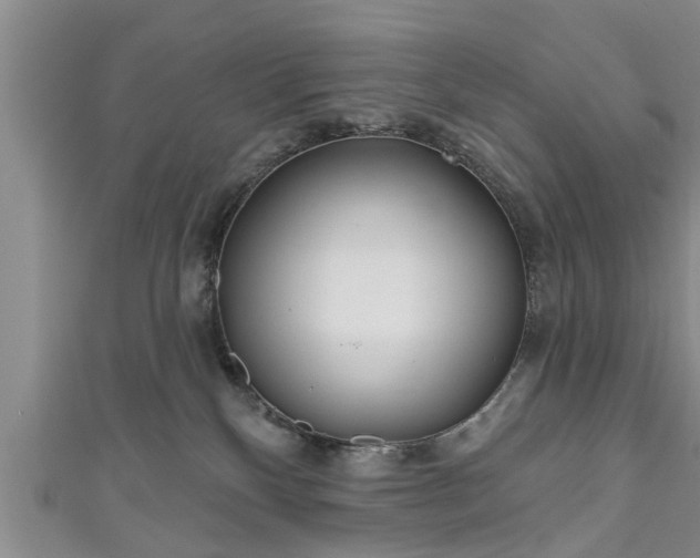 X0000111170136200907081222