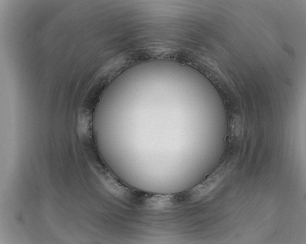 X0000111170138200907081222