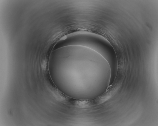 X0000111170139200907081222