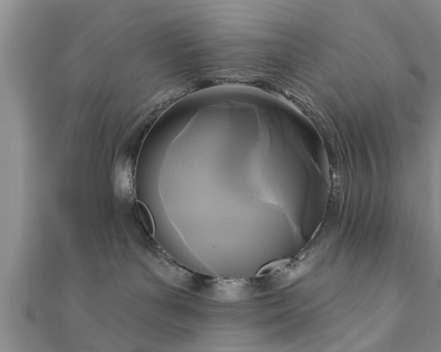 X0000111170143200907081222