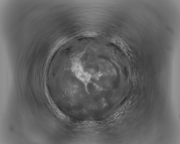 X0000111170145200907081222