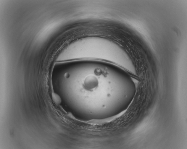 X0000111170146200907081222