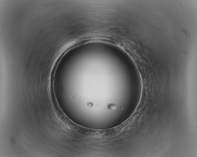 X0000111170148200907081222