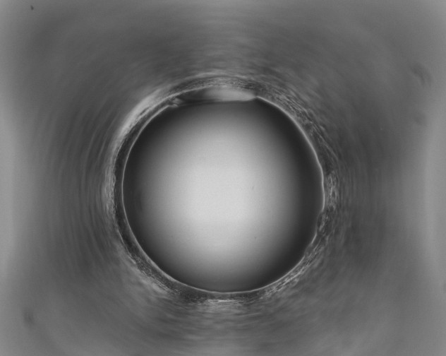 X0000111170150200907081222