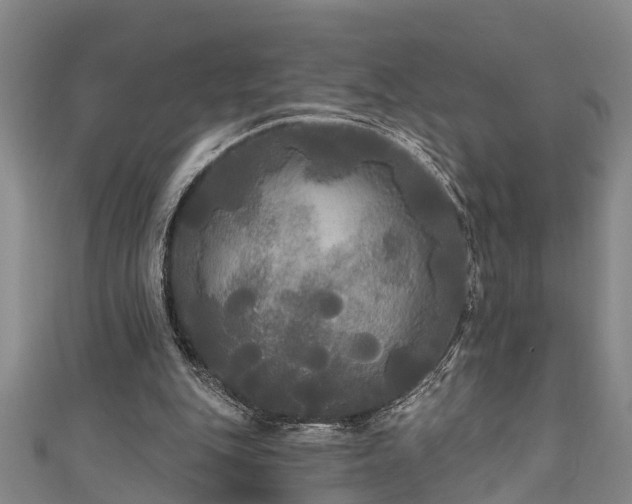 X0000111170151200907081222