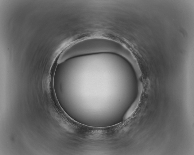 X0000111170152200907081222