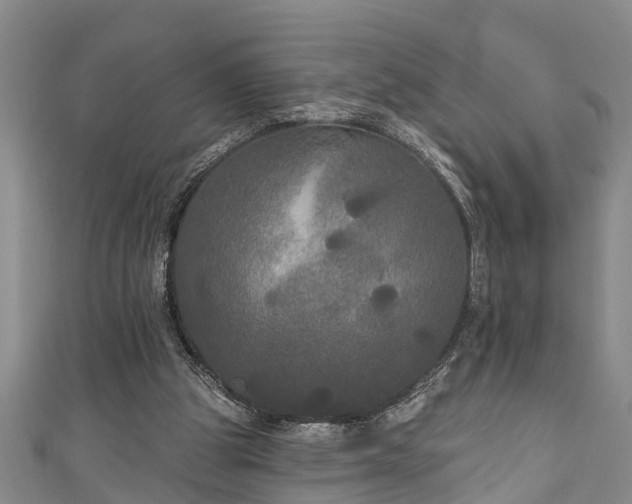 X0000111170153200907081222