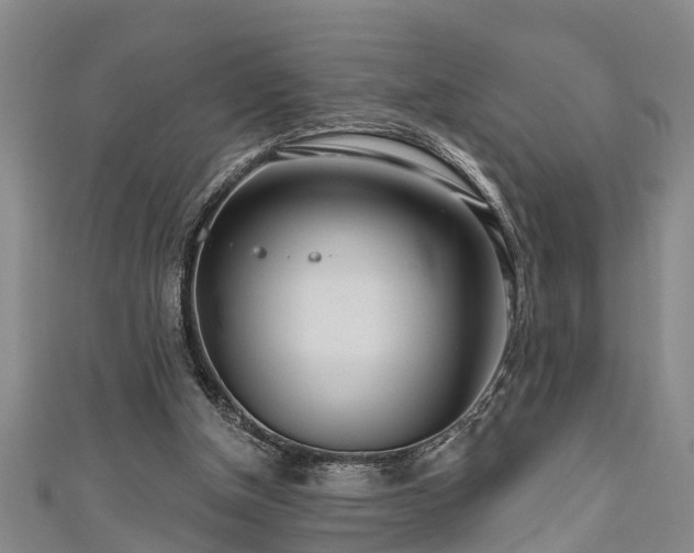 X0000111170154200907081222