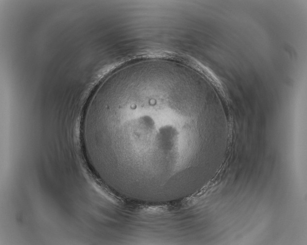 X0000111170155200907081222