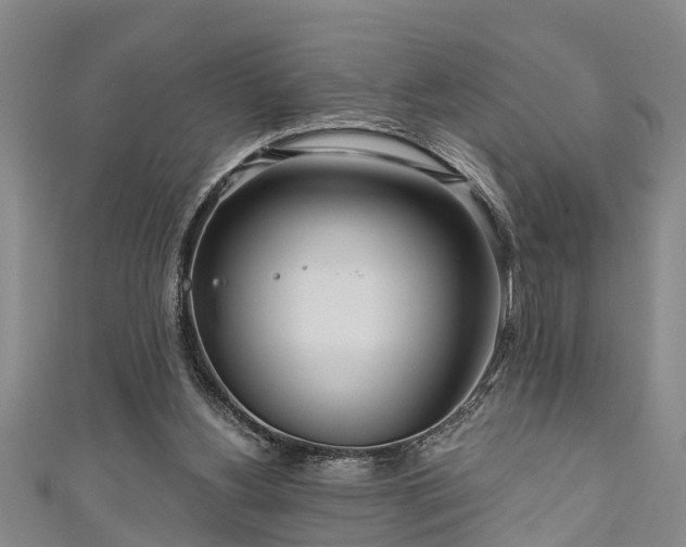 X0000111170156200907081222