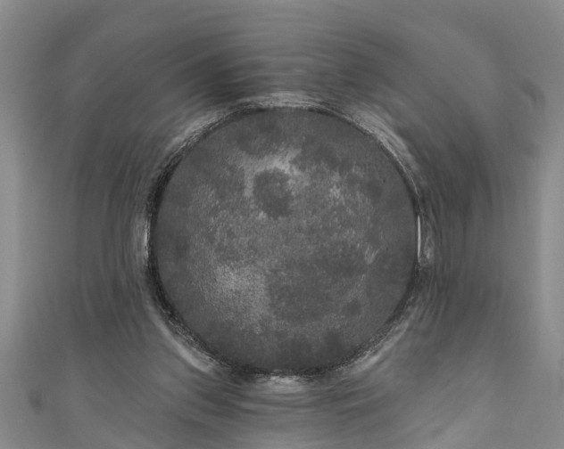 X0000111170157200907081222