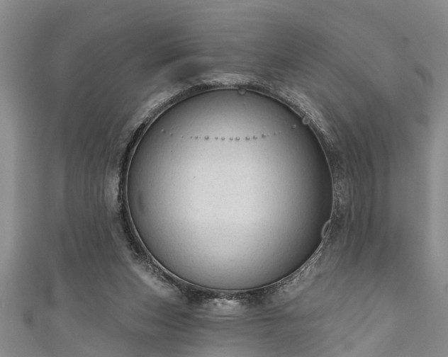 X0000111170159200907081222