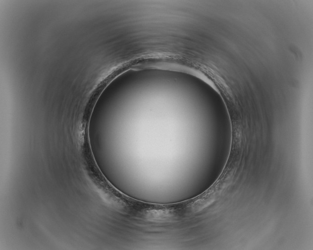 X0000111170160200907081222