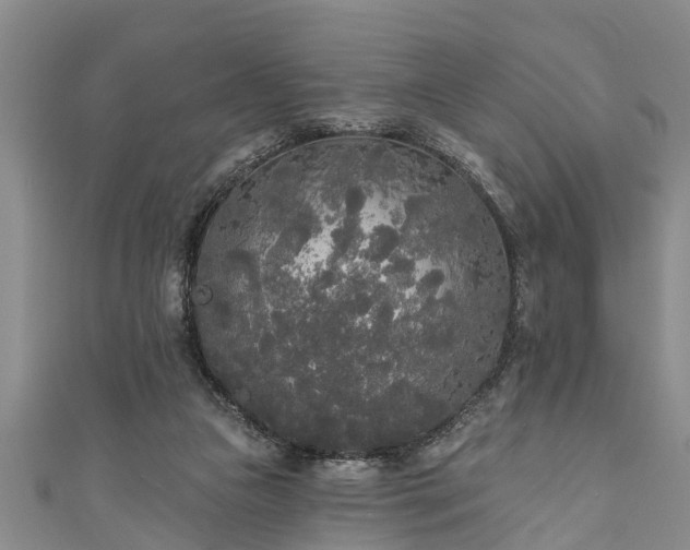 X0000111170161200907081222