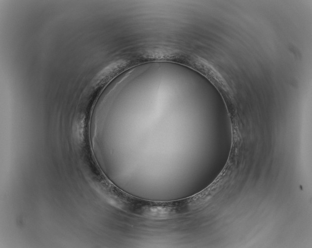 X0000111170163200907081222