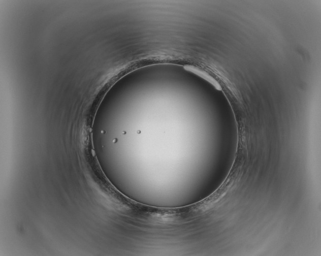 X0000111170164200907081222