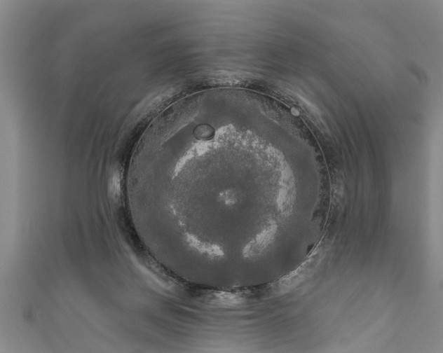 X0000111170166200907081222