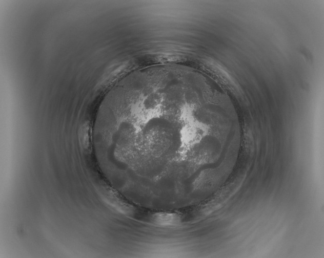 X0000111170169200907081222