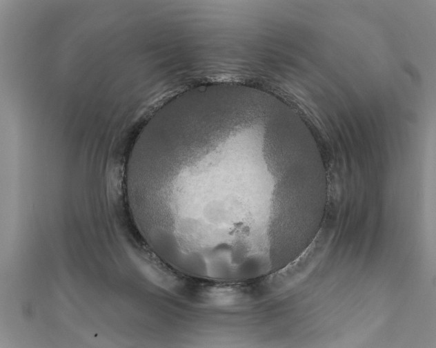 X0000111170171200907081222