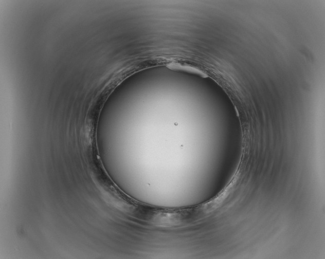 X0000111170174200907081222