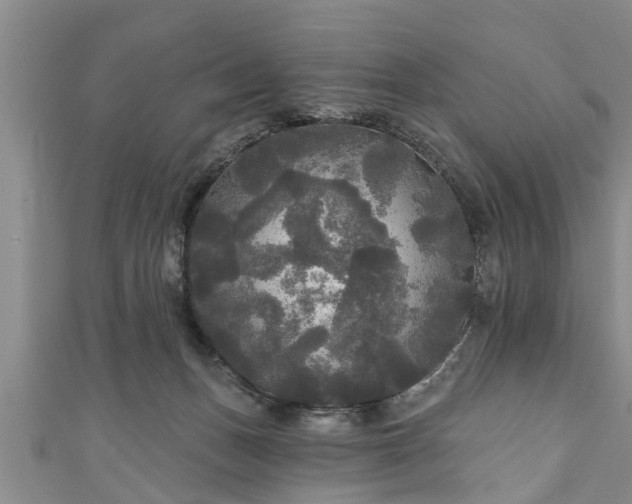 X0000111170175200907081222