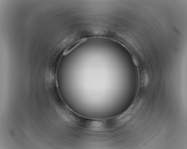 X0000111170176200907081222