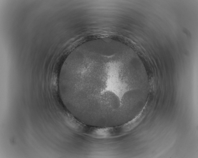 X0000111170178200907081222